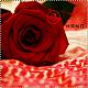 ������ ������� ][ NOOR ][